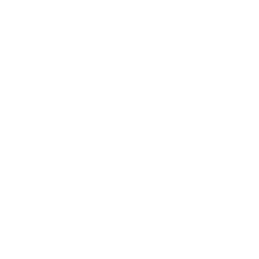 instagramicon